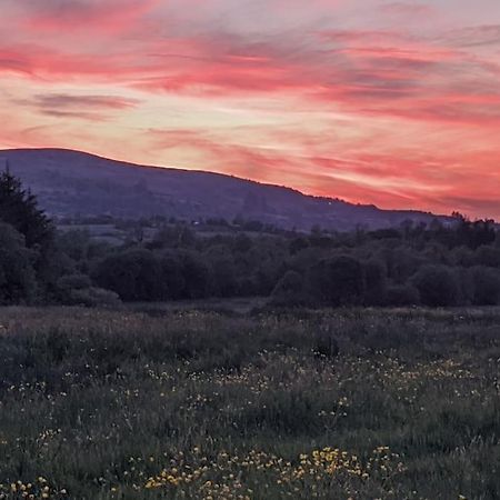 Secluded Private Cottage Hot-Tub, Sauna & Fire-Pit Carrick on Shannon Εξωτερικό φωτογραφία