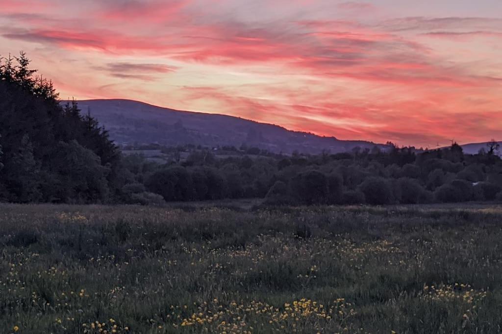 Secluded Private Cottage Hot-Tub, Sauna & Fire-Pit Carrick on Shannon Εξωτερικό φωτογραφία