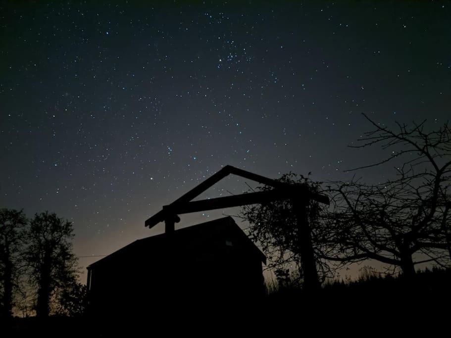Secluded Private Cottage Hot-Tub, Sauna & Fire-Pit Carrick on Shannon Εξωτερικό φωτογραφία